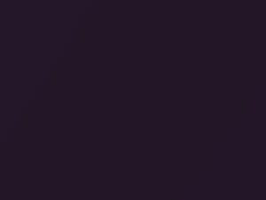 BMW 5 Series Daytonaviolett Metallic touch up paint 283 1996 5-SERIES