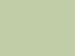 Cameo Green/Light Green touch-up paint for Lincoln, code A, 1968–2067