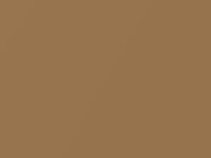 Saddle Tan Metallic touch-up paint for Ford, code M3516A, W, 1974