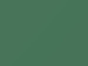 Medium Green touch-up paint for Dodge, code AE1EF4, DT7573, 1969