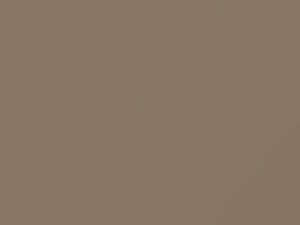 Pluto Beige touch-up paint for Toyota, code 1352, 401, 1972