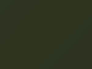 Dark Green touch-up paint for Chevrolet, code WSA4810, 1975