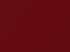 Tartan Red touch-up paint for Austin Rover, code RD9, 1963