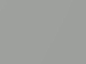 Road Silver Metallic touch-up paint for Austin Rover, code BLVC88, 1974