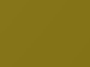 Lemon Yellow touch-up paint for Chevrolet, code 16U, 56U, 2002