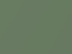 Green Metallic touch-up paint for Fiat, code 320, 1982