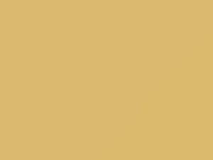 Light Yellow touch-up paint for Chrysler, code 18663, AY98FY4, PY4, 1990