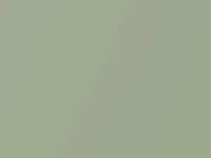 Light Green Metallic touch-up paint for Toyota, code 6G9, 1984