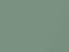 Ming Green Metallic touch-up paint for Ford, code D, M1451A, 1963