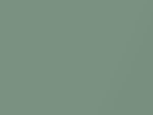 Ming Green Metallic touch-up paint for Ford, code D, M1451A, 1963