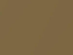 Chesterfield Bge Metallic touch-up paint for Lincoln Continental, code A, 1911–1967