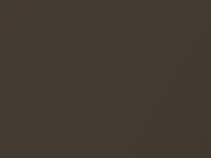 Dark Brown Metallic touch-up paint for Amc, code 5E, 1986
