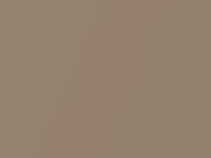 Laredo Tan Metallic touch-up paint for Amc, code P49A, 1968