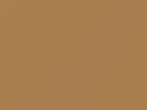 Cameo Tan touch-up paint for Amc, code OK, 1981