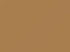 Cameo Tan touch-up paint for Amc, code OK, 1980