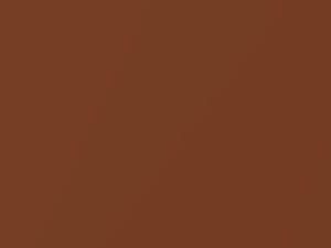 Ascot Brown Metallic touch-up paint for Mazda, code Y1, 1979