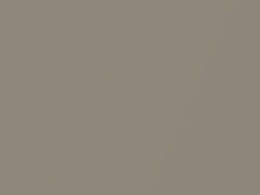 Charcoal Metallic touch-up paint for Dodge, code C5186YS, NN, 1960