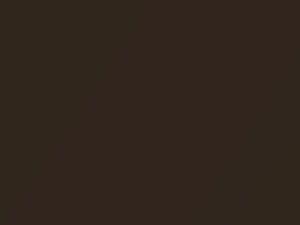 Dark Champagne Metallic touch-up paint for Lincoln, code 54, M5690A, 1981