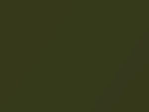 Dark Green Metallic touch-up paint for Capri, code 8, 1973