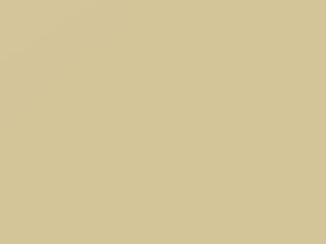 Ivory touch-up paint for Toyota, code 4H8, 1990