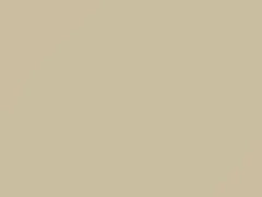 Beige touch-up paint for Amc, code AB, 1988
