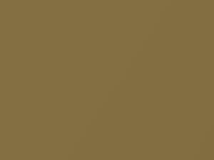 Gold Metallic touch-up paint for Fiat, code 589, 1978