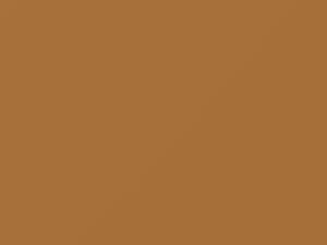 Mercedes-Benz Desert Tan touch up paint 1-690 1988 All Models