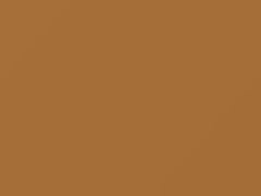Light Mocha Tan touch-up paint for Plymouth, code AY69PT2, T2, 1977