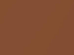 BMW Topaz Brown Metallic touch up paint 13 1979 All Models
