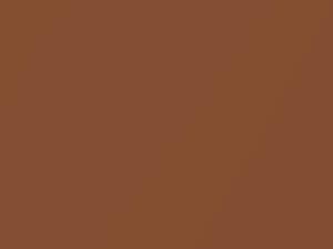BMW Topaz Brown Metallic touch up paint 13 1979 All Models