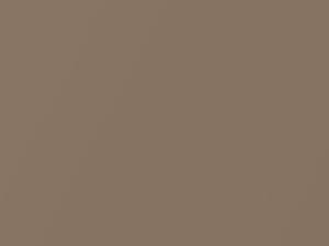Medium Fawn Metallic touch-up paint for Mercury, code 55, M5729A, 1981