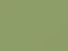 Willow Green touch-up paint for Mazda, code EB, 1970