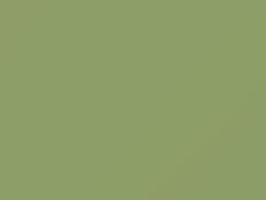 Willow Green touch-up paint for Mazda, code EB, 1970
