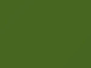 Muscat Green touch-up paint for Mazda, code FP, 1977