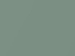 Woodside Green Metallic touch-up paint for Amc, code P54A, 1964