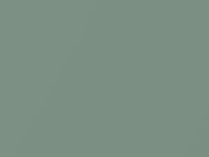 Woodside Green Metallic touch-up paint for Amc, code P54A, 1964