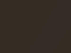 Sable Brown Metallic touch-up paint for Datsun, code 817, 1981