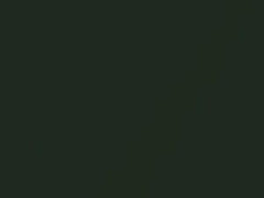 Alpine Green Metallic touch-up paint for Pontiac, code 4634, 49, WA4634, 1976