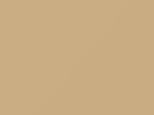 French Vanilla touch-up paint for Isuzu, code 812, U903P801-0, 1989