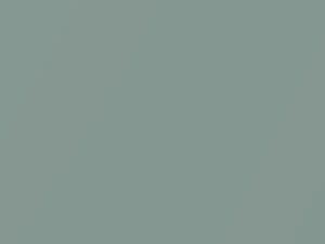 Light Gray Metallic touch-up paint for Ford Thunderbird, code L, M3318A, 1970