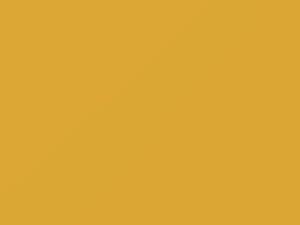 Bright Yellow touch-up paint for Mercury, code 6N, M5733A, 1981