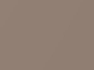 Light Brown Metallic touch-up paint for Isuzu, code 2155P1, 1983