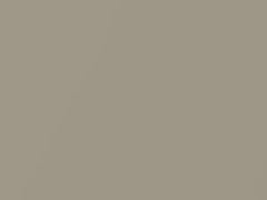 Silver Cloud Metallic touch-up paint for Buick, code 4319, 64, WA4319, 1974