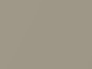 Silver Cloud Metallic touch-up paint for Buick, code 4319, 64, WA4319, 1974