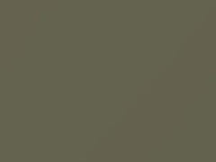 Leaf Green touch-up paint for Datsun, code 803, 1969