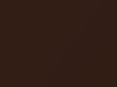 Dark Brown Metallic touch-up paint for Mercury, code 5Q, M5477A, 1977