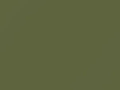 Mercedes-Benz Caledonia Green touch up paint 867 1979 All Models