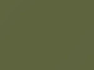 Mercedes-Benz Caledonia Green touch up paint 867 1977 All Models