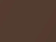 Dark Cocoa Metallic touch-up paint for Amc, code H4, 1976