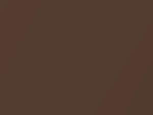 Dark Cocoa Metallic touch-up paint for Amc, code H4, 1976